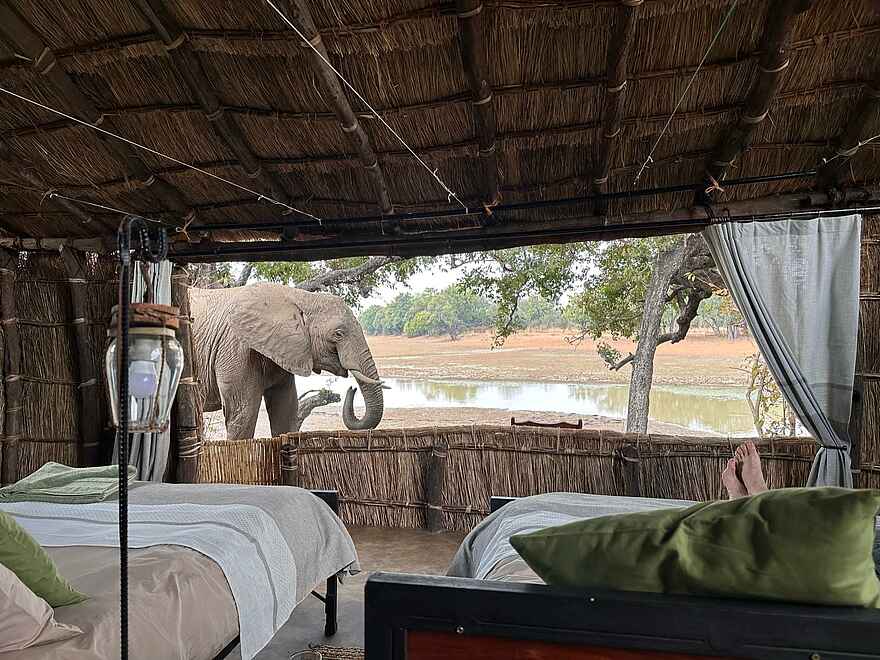 Big Lagoon Camp: Besuch im Camp Big Lagoon Camp: Besuch im Camp