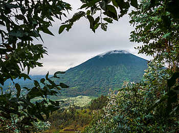 Bisate Lodge: Der Vulkan Karisimbi Bisate Lodge: Der Vulkan Karisimbi