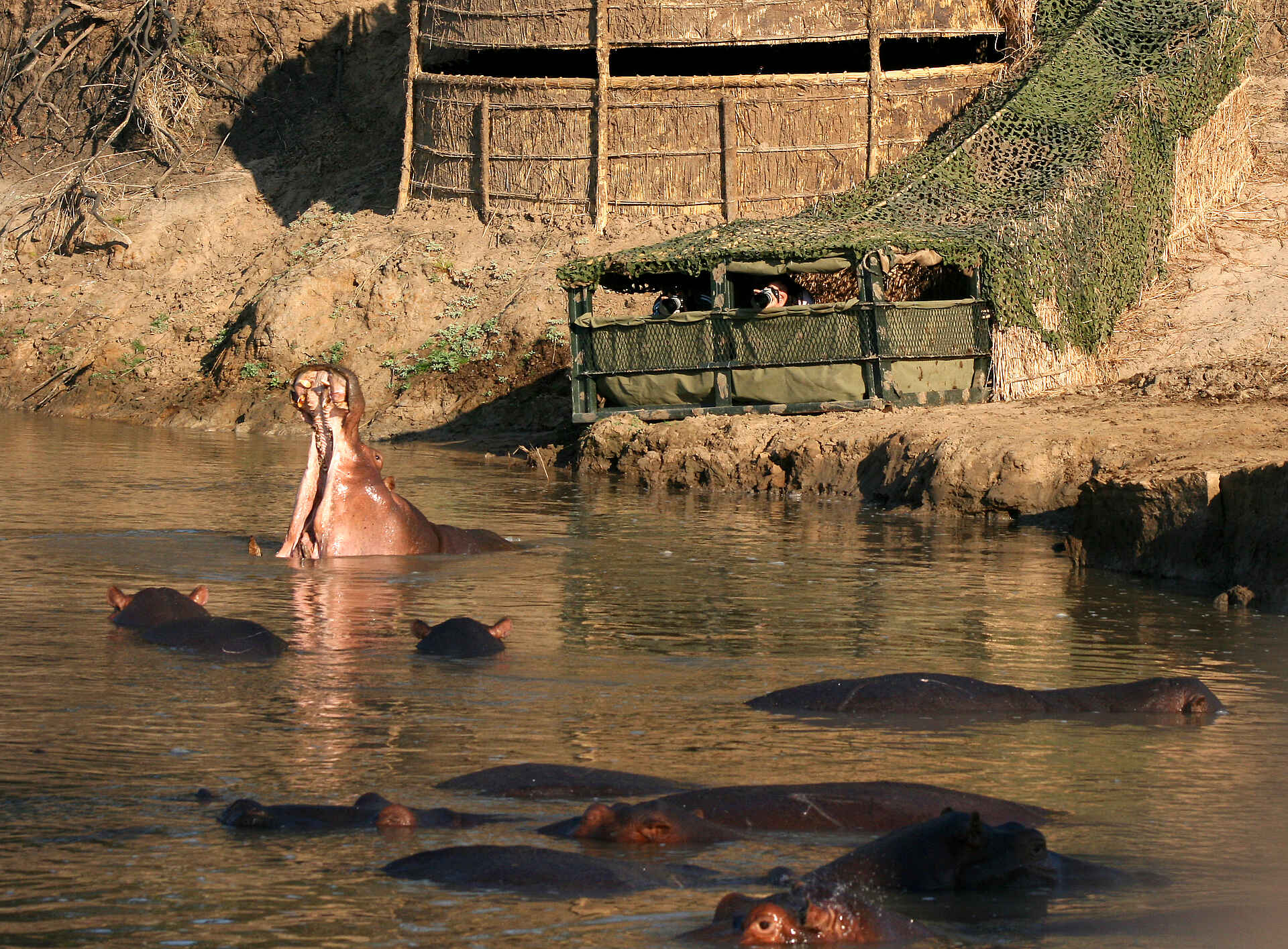 Kaingo Camp: Hides am Fluss