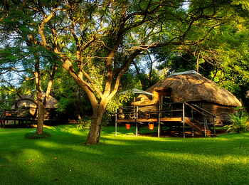 Kubu Lodge: Gartenpanorama Kubu Lodge: Gartenpanorama