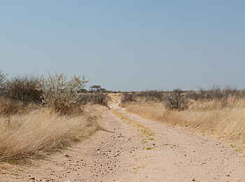 Naankuse Lodge: Savannenstraße Naankuse Lodge: Savannenstraße