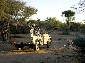 Okonjima Plains Camp: Leopard ganz nah Okonjima Plains Camp: Leopard ganz nah