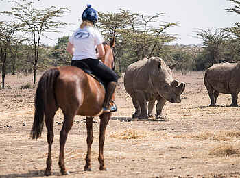 Ol Pejeta Bush Camp: Reitsafari