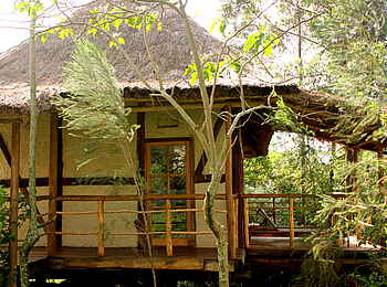 Papaya Lake Lodge: Gästechalet