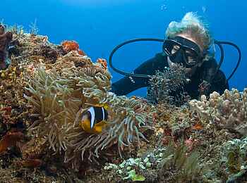 Rocktail Beach Camp: Seeanemonen