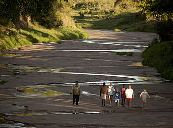 Sala's Camp: Walking Safari im Bett des Sand River Sala's Camp: Walking Safari im Bett des Sand River