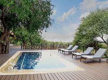 Madikwe Hills Private Game Lodge: Pool von Little Madikwe