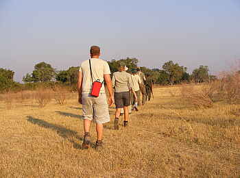 Nkonzi Bush Camp: Wanderung im Nachmittagslicht Nkonzi Bush Camp: Wanderung im Nachmittagslicht