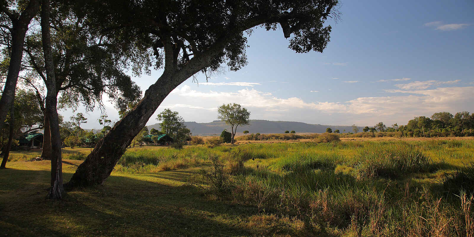 Little Governors' Camp: Umgebende Landschaft Little Governors' Camp: Umgebende Landschaft
