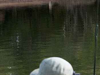 Ntemwa Busanga Bushcamp: Leopard am Flussufer