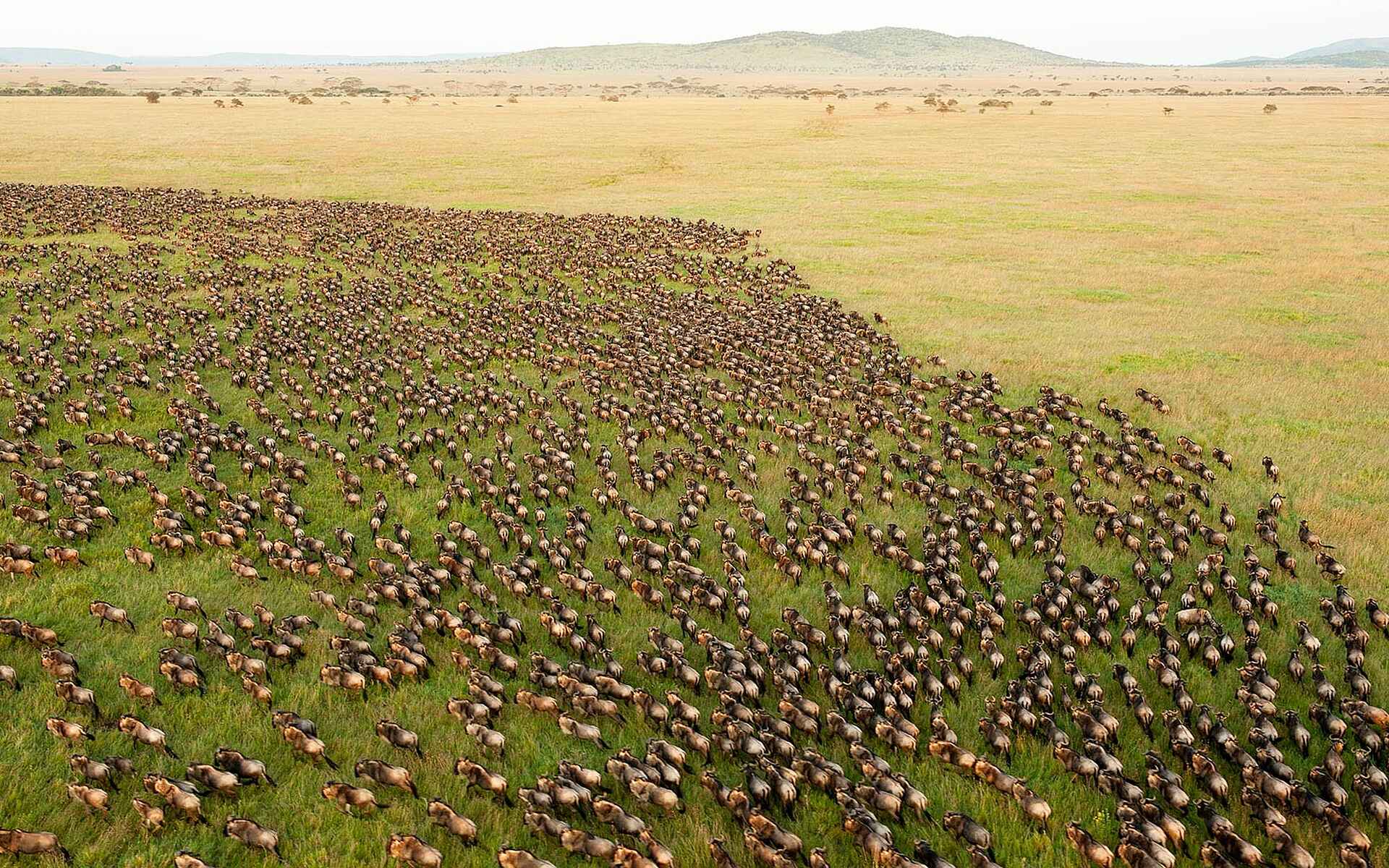 Afrikarma, Afrikarma. Wildnis. Hautnah, Camp, Game Drive, Kenia, Kenya, Lodge, Maasai, Masai Mara, Ol Seki, Pirschfahrt, www.afrikarma.de, Zeltcamp