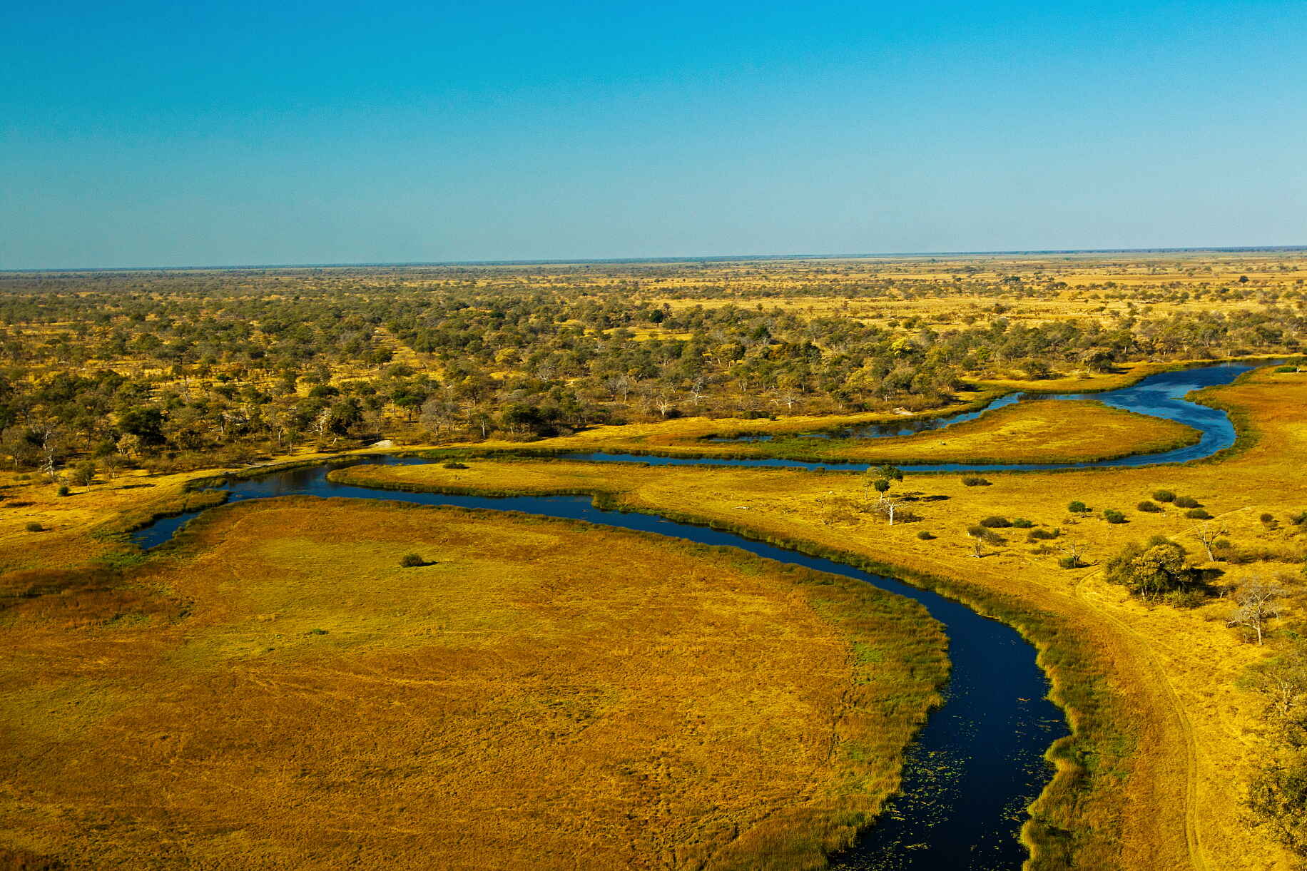 Selinda Camp: Landschaft