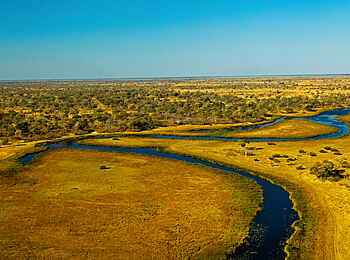 Selinda Camp: Landschaft
