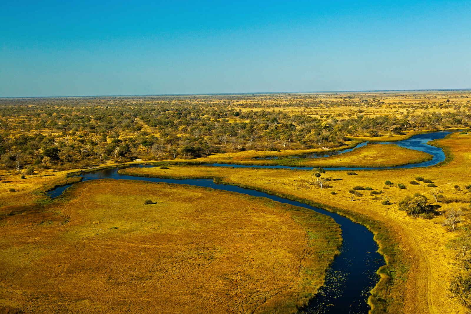 Selinda Camp: Landschaft Selinda Camp: Landschaft