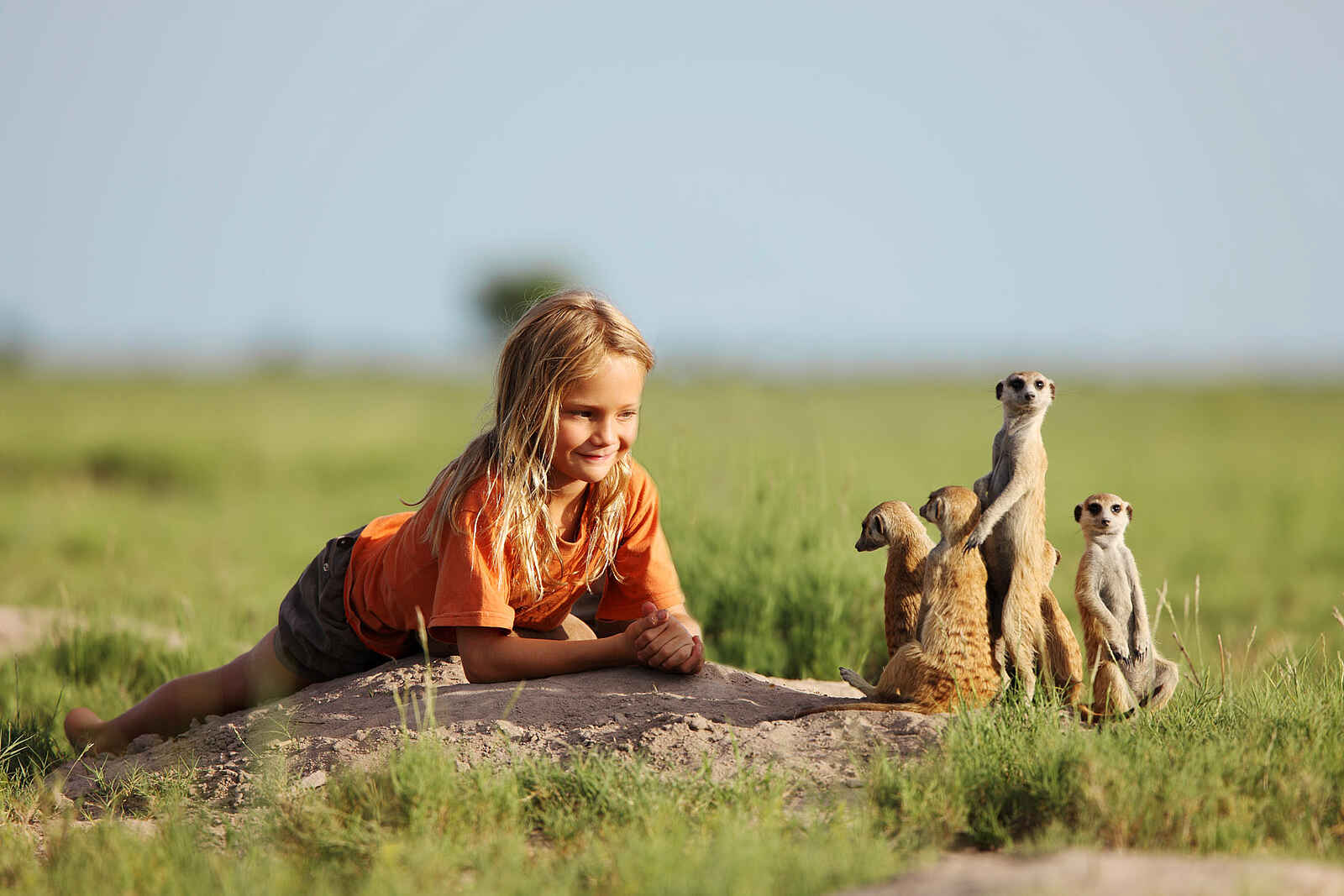 Camp Kalahari: Erdmännchen Camp Kalahari: Erdmännchen