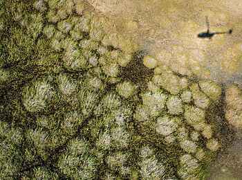 Duba Plains Camp: Helicopterflug