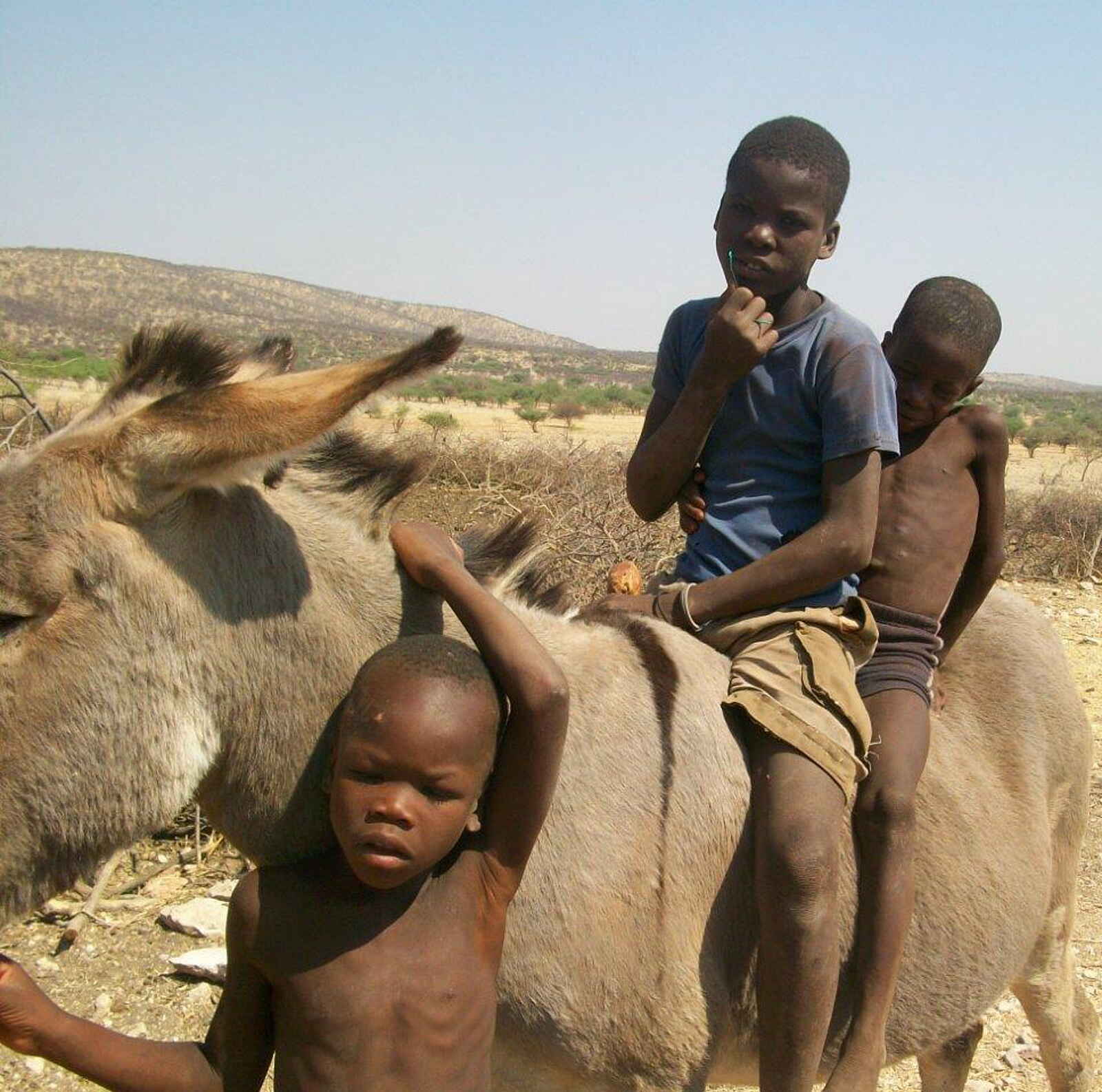 Fort Sesfontein: Der Himba-Kinder mit einem Esel Fort Sesfontein: Der Himba-Kinder mit einem Esel