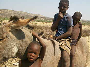 Fort Sesfontein: Der Himba-Kinder mit einem Esel