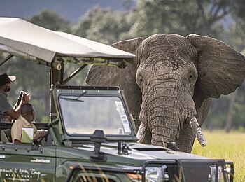 Governors' Il Moran Camp: Game Drive