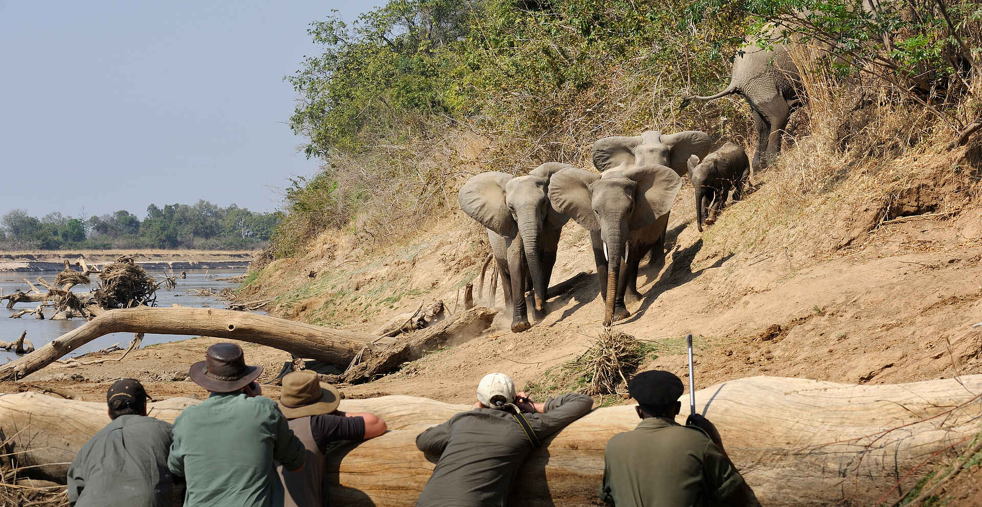 Kaingo Elephant Hide: Das Ufer ist erreicht Kaingo Elephant Hide: Das Ufer ist erreicht