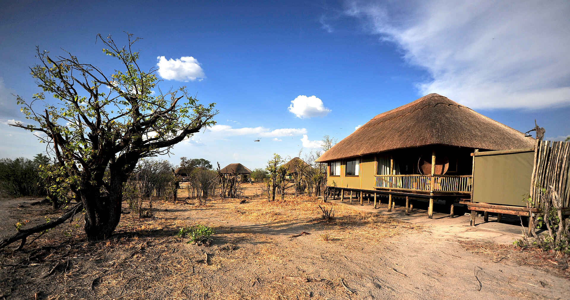 Hwange, Hwange National Park, Imvelo, Imvelo Safari Lodges, Nehimba Lodge, Ausblick, Chalet, Gästeunterkünfte, Gelände, Terrasse, Vegetation, Afrikarma, Afrikarma Safaris, Afrikarma Safaris - Wildnis. Hautnah., Afrikarma.de