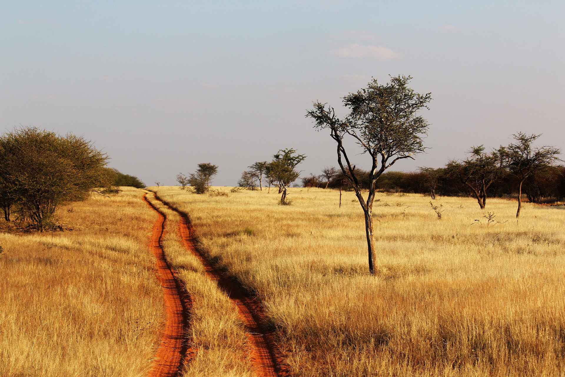 Otjimbondona Kalahari Lodge: Die beeindruckende Natur der Kalahari Otjimbondona Kalahari Lodge: Die beeindruckende Natur der Kalahari