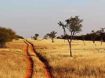 Otjimbondona Kalahari Lodge: Die beeindruckende Natur der Kalahari