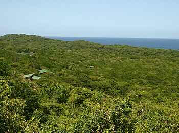 Rocktail Beach Camp: Lage am Küstenhang