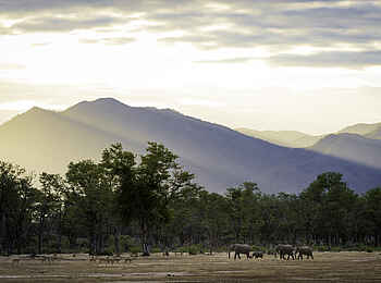 Ruckomechi Camp: Mana-Pools-Landschaft Ruckomechi Camp: Mana-Pools-Landschaft