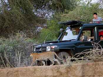 Sarara Camp: Ausflug Safarifahrzeug Sarara Camp: Ausflug Safarifahrzeug