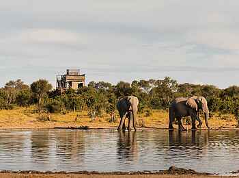 Skybeds: Aussicht Skybeds: Aussicht