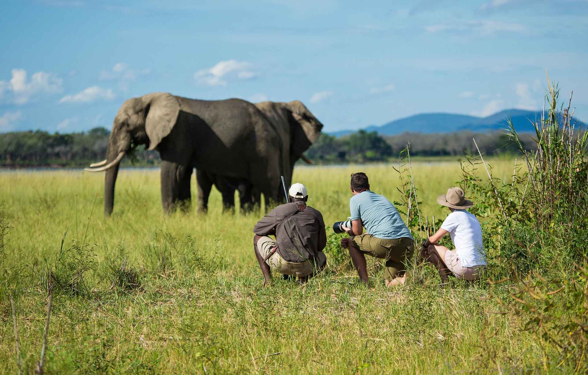 Tembo Plains Camp: Begegnung mit Elefanten Tembo Plains Camp: Begegnung mit Elefanten