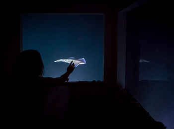 The Manta Resort: Fische bei Nacht The Manta Resort: Fische bei Nacht