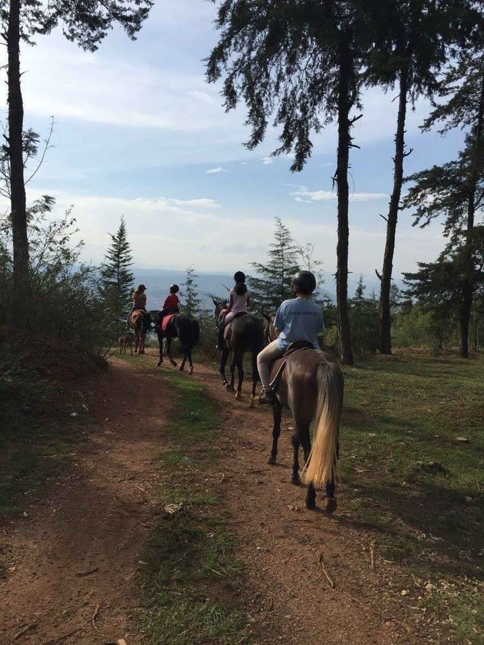 The Retreat Hotel: Ausritt The Retreat Hotel: Ausritt