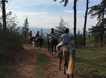 The Retreat Hotel: Ausritt The Retreat Hotel: Ausritt