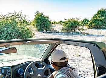 Tlouwana Camp: Pirschfahrt im Chobe Nationalpark Tlouwana Camp: Pirschfahrt im Chobe Nationalpark