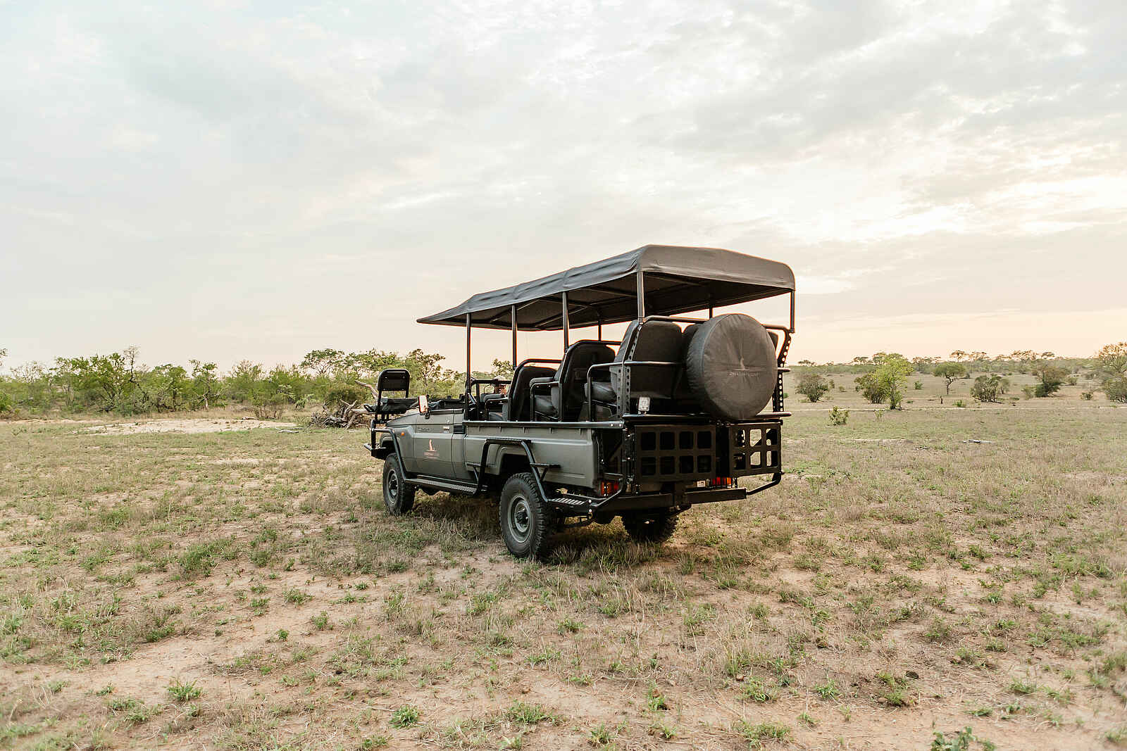 Cheetah Plains: Elektrisches Pirschfahrzeug Cheetah Plains: Elektrisches Pirschfahrzeug