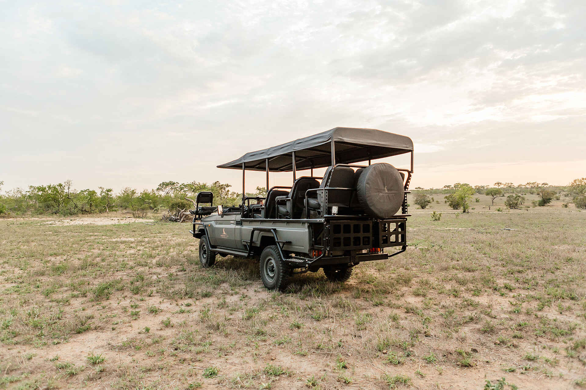 Cheetah Plains: Elektrisches Pirschfahrzeug