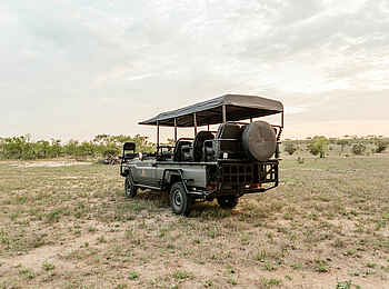 Cheetah Plains: Elektrisches Pirschfahrzeug Cheetah Plains: Elektrisches Pirschfahrzeug