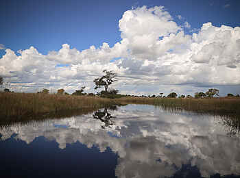 Jackalberry Tented Camp: Wolken und Wasser