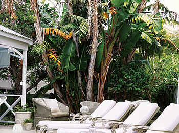 Leisure Isle Lodge: Poolliegen