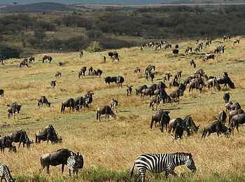 Mahali Mzuri: Blick über die Landschaft