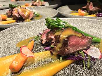 Selinda Camp: Hauptgang