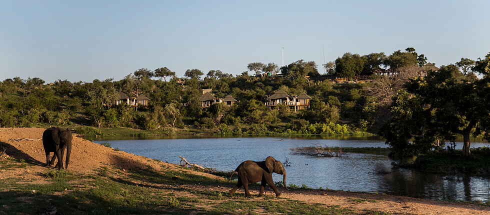 Krüger, Simbavati Hilltop Lodge, Simbavati Safari Lodges, Timbavati, Camp, Zentrale Einrichtung, Afrikarma, Afrikarma Safaris, Afrikarma Safaris - Wildnis. Hautnah., afrikarma.de