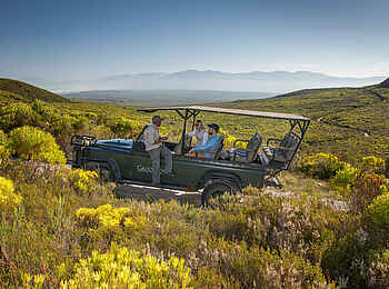Grootbos Private Villas: Pirschfahrt Grootbos Private Villas: Pirschfahrt