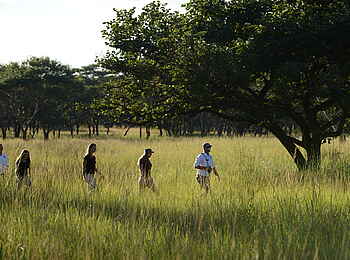 Lilayi: Bush Walk Lilayi: Bush Walk