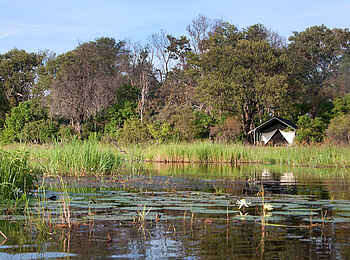 Machaba Camp: Gästezelt am Fluss Machaba Camp: Gästezelt am Fluss