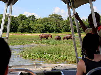 Murchison River Lodge: Motorbootexkursion