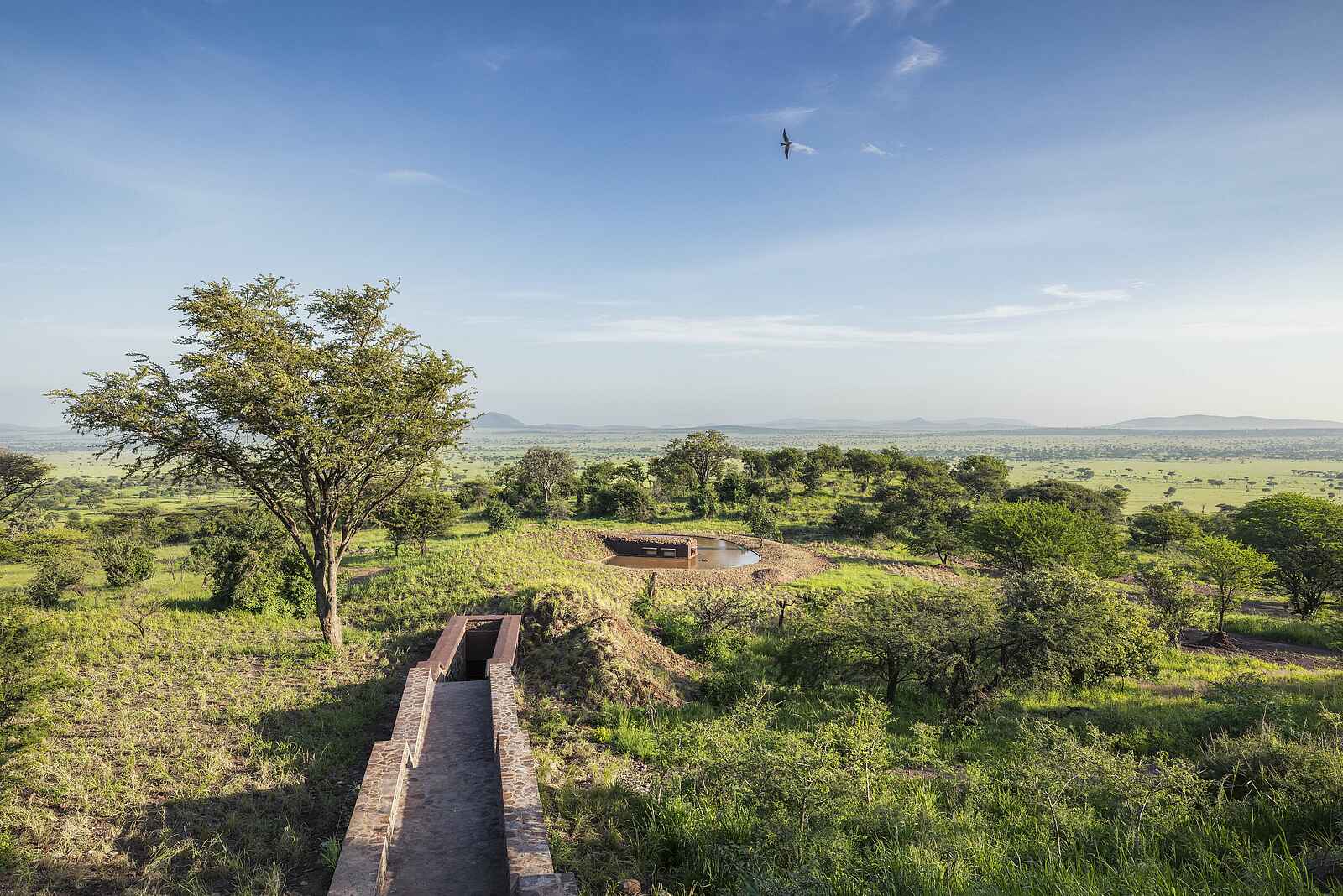 Serengeti Explorer: Der Weg zum Hide Serengeti Explorer: Der Weg zum Hide