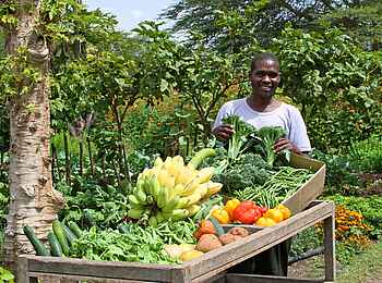 Sirikoi: Organische Produktion im eigenen Garten
